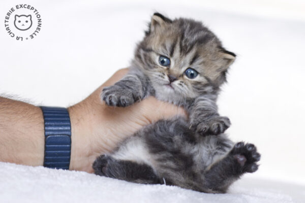 Photo de Uiko - 