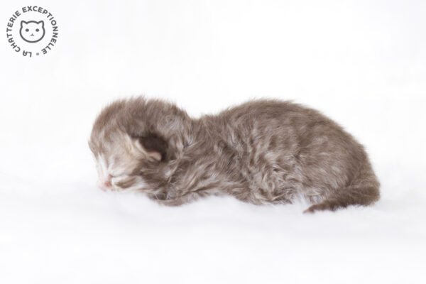 Photo de Unagi - 